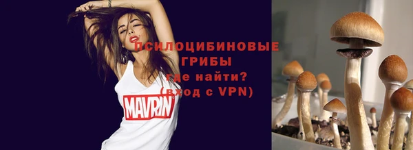 гидра Лихославль