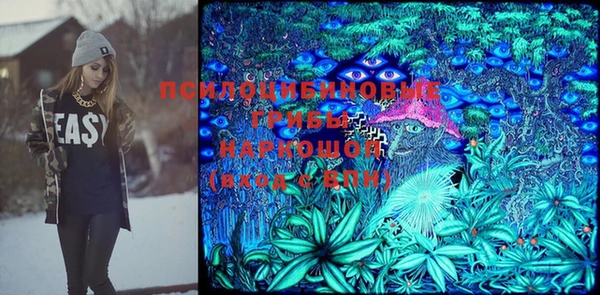ГАЛЛЮЦИНОГЕННЫЕ ГРИБЫ Липки